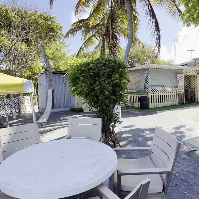 Patio seating under the palms