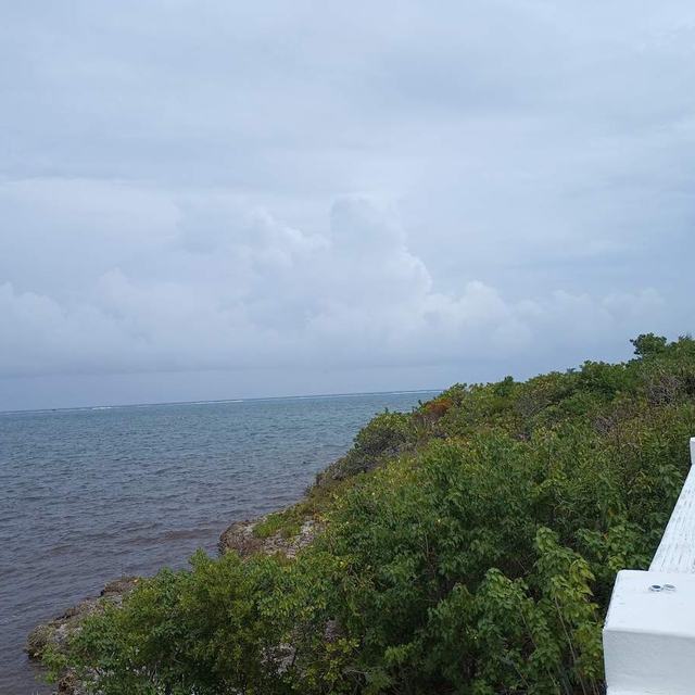 Ocean view from the cliff